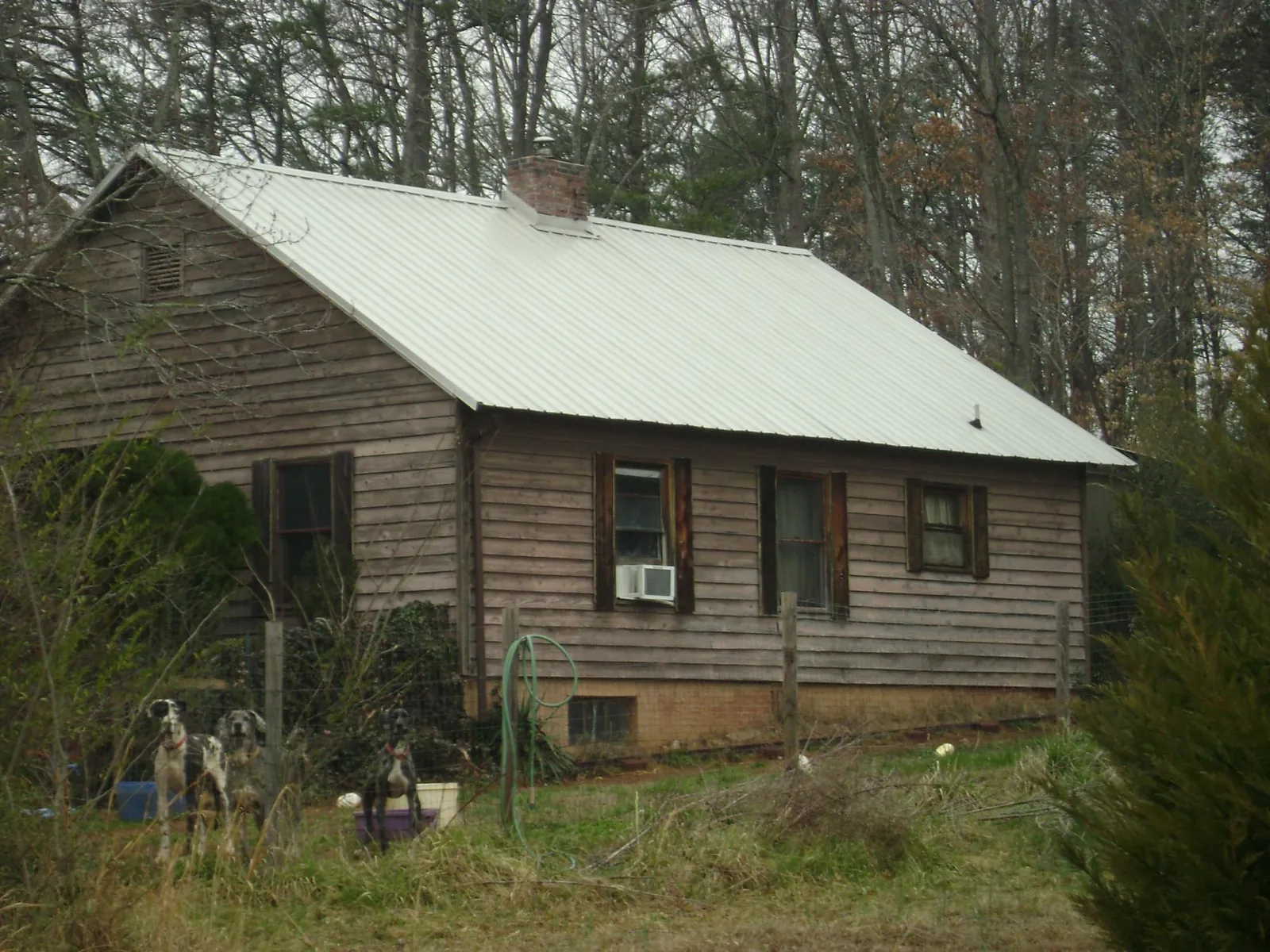 White metal roof on an old wood sided farmhouse, from a Asphalt Shingle Roof Repair job in Flat Rock